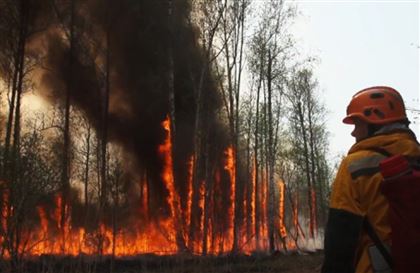 Сразу в нескольких странах Европы начались лесные пожары