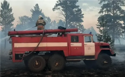 Лесной пожар в заповеднике "Семей орманы" локализован спустя девять часов