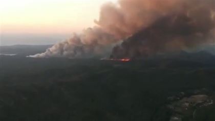 В Турции вспыхнул крупный лесной пожар