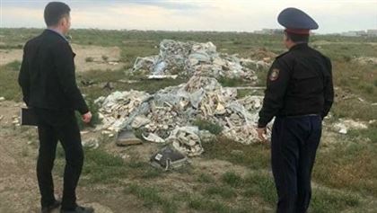 В Казахстане за три месяца выявили около 150 стихийных свалок