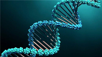 Учёные смогли встроить древнюю ДНК в современные геномы