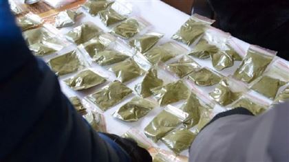 В Кызылординской области полицейские нашли две плантации с марихуаной