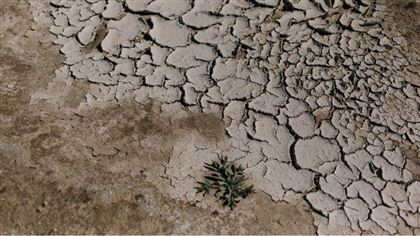 В Казахстане ожидается засуха
