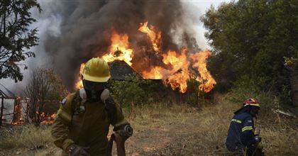 Во Франции из-за аномальной жары начались лесные пожары