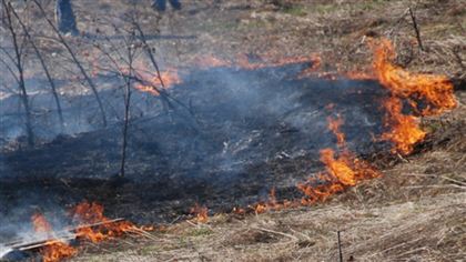 В Грузии начались крупные лесные пожары 