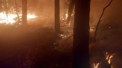 В Костанайской области пограничники КНБ тушат пожар на границе 