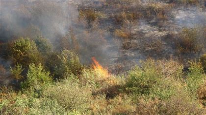 В Карагандинской области за сутки разгорелись 17 природных пожаров