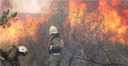 Пожар в Карагандинской области ликвидирован