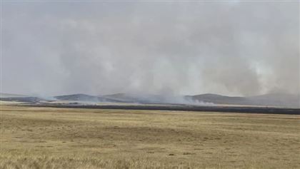 В Павлодарской области горел сухостой