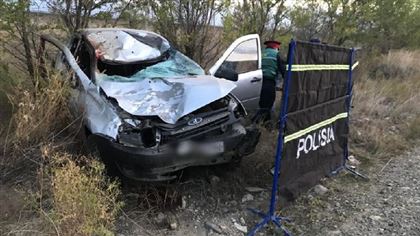 В ВКО в ДТП на трассе погибли водитель и лошадь