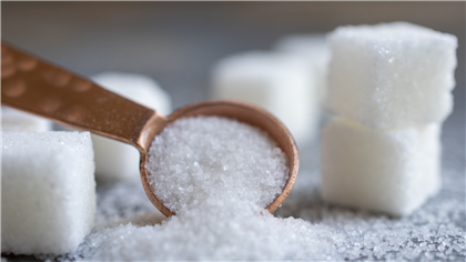 В Южном Казахстане снова налаживают производство сахара