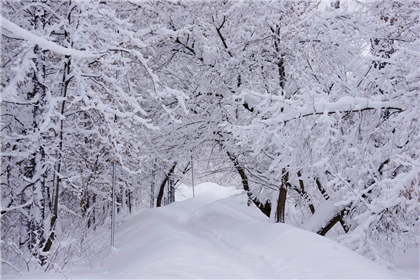 В Петропавловске выпал первый снег