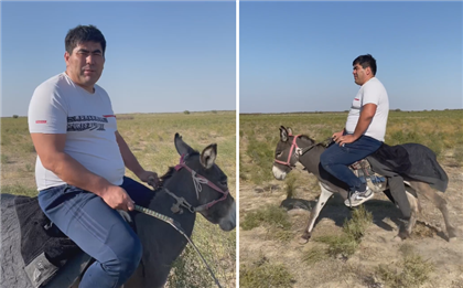 "Спину ему сломаешь" - казахстанского борца раскритиковали за катание на ослике 