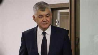 Аружан Саин призвала казахстанцев подписать петицию в защиту Биртанова 