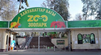 В Алматы хотят реконструировать зоопарк