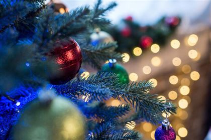 Новогоднюю елку за пять миллионов тенге хотят установить в центре Талдыкоргана