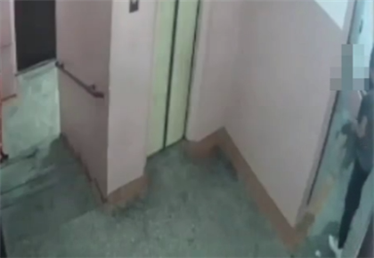 Павлодарец жестоко расправился с котом, который жил в подъезде - видео
