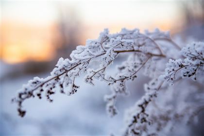30 декабря на большей части Казахстана ожидается снег