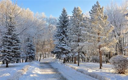 Какой будет погода 23 января в Казахстане