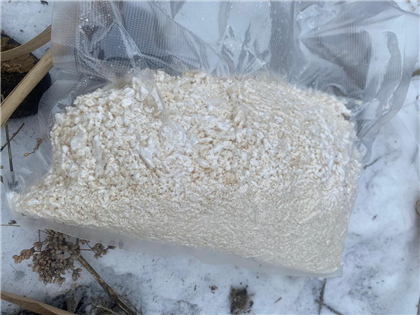 Сотрудники КНБ обнаружили 103 кг наркотиков при обысках в Шымкенте и Конаеве