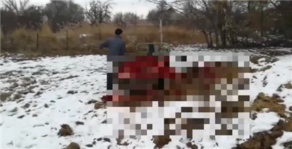 Мужчину, устроившего скотомогильник рядом с дорогой к школе, оштрафовали в Алматинской области
