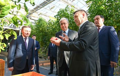Глава государства побеседовал с сельхозтоваропроизводителями Акмолинской области