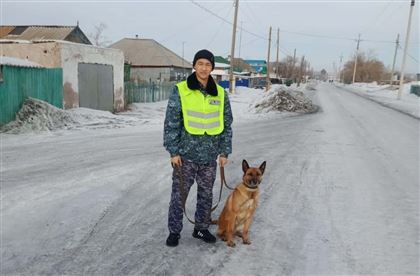 Служебная собака помогла по “горячим следам” раскрыть кражу денег в Акмолинской области