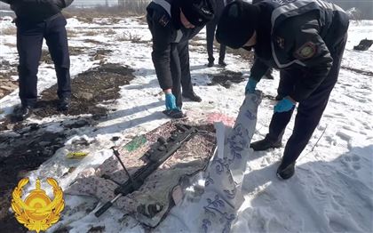 Тайник с редким дорогостоящим оружием обнаружен в Алматинской области