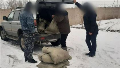 В Павлодаре задержали мужчину с пятью мешками рыбы
