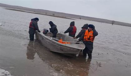 В Актюбинской области спасатели вытащили из поднявшейся реки стадо коров и табун лошадей