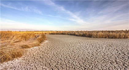 В Казахстане предложили использовать паводковые воды для борьбы с засухой