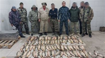 160 кг незаконно выловленной рыбы изъяли в Туркестанской области