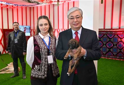 Президенту Казахстана подарили щенка тазы