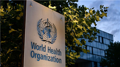 Риск распространения холеры в мире очень велик, считают в ВОЗ