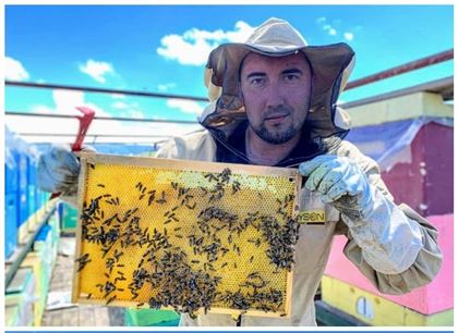  Почему в Казахстане купить настоящий мёд все труднее и что надо знать покупателю о подделках: секреты пчеловодов