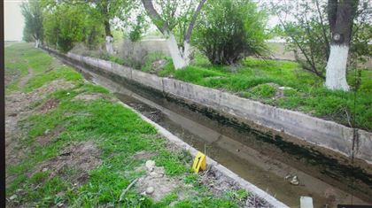 Тело школьницы обнаружили в оросительном канале в Туркестанской области