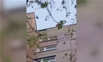 Девушке не дали спрыгнуть с крыши после ссоры с парнем в Караганде - видео