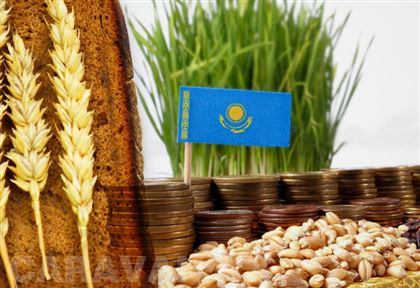 Провал зерновой сделки может обанкротить сельское хозяйство Казахстана
