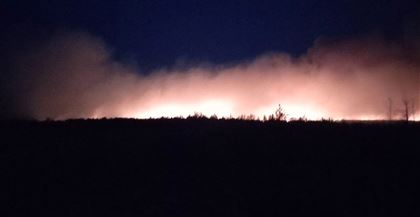 В Абайской области более 18 часов тушат лесной пожар