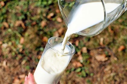 Молокозавод стал принимать молоко у фермеров по заниженной цене, но не снизил стоимость своей продукции