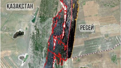 Появились кадры крупного лесного пожара в Абайской области