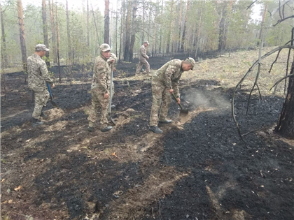 В МЧС заявили, что большая часть очагов пожара в Абайской области локализована