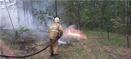 Тушение пожара в Абайской области продолжается на девяти участках