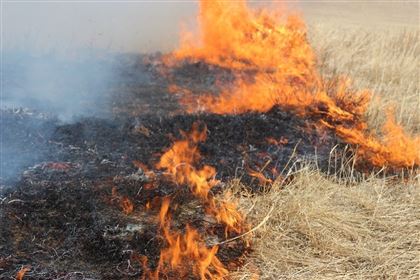  В Жамбылской области на площади восьми гектаров произошел степной пожар
