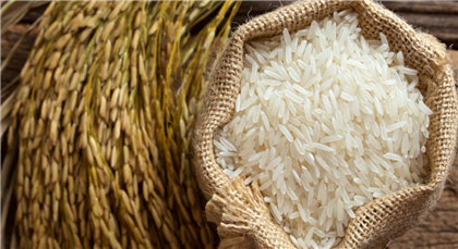 Компании по производству и реализации риса привлекли к ответственности на 67,9 млн тенге в Кызылординской области