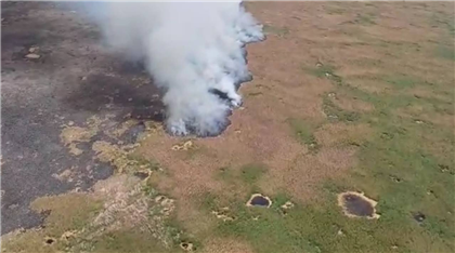 Пожар в Алматинской области потушили