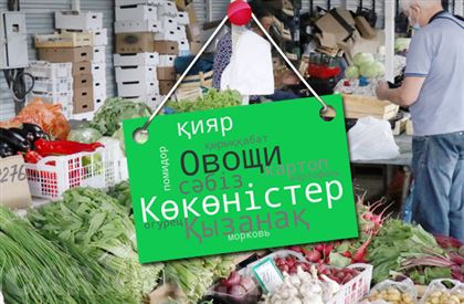 Как полезно в Казахстане знать казахский язык неказахам