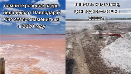 Чиновники прокомментировали высыхание розового озера в Павлодарской области