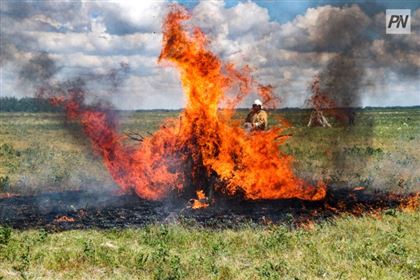 Из-за пожара режим ЧС объявят в трёх сельских округах Павлодарской области