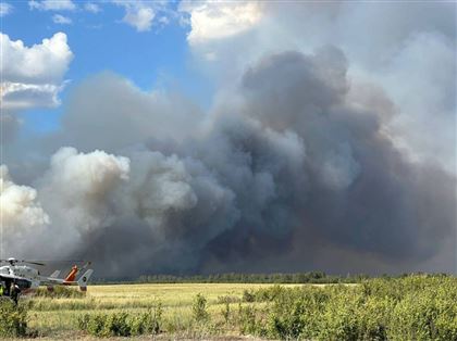Причиной лесного пожара в Щербактинском районе стал грозовой разряд